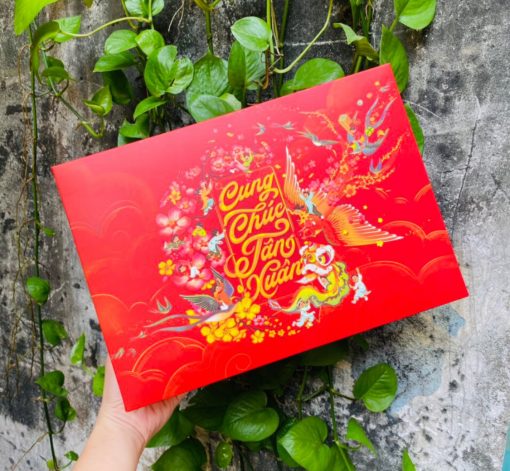 Hộp én xuân lớn 30x21x9cm (10 cái)