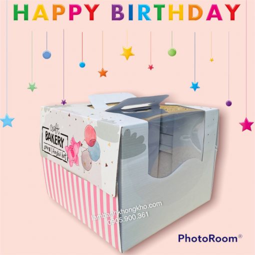 Hộp bánh sinh nhật 20x20x20cm + đế SN-9305-1C