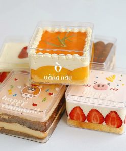 Hộp mica vuông 9560 BOX-9352-1C
