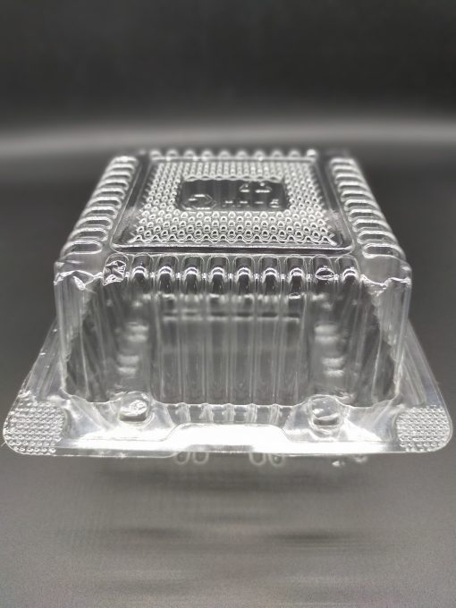 Hộp nhựa H5 nắp cao (10 cái) BOX-2540-3058-10C
