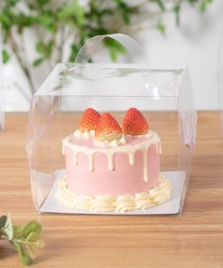 Hộp bánh kem mica quai xách 15x15x18cm BOX-9355-1C