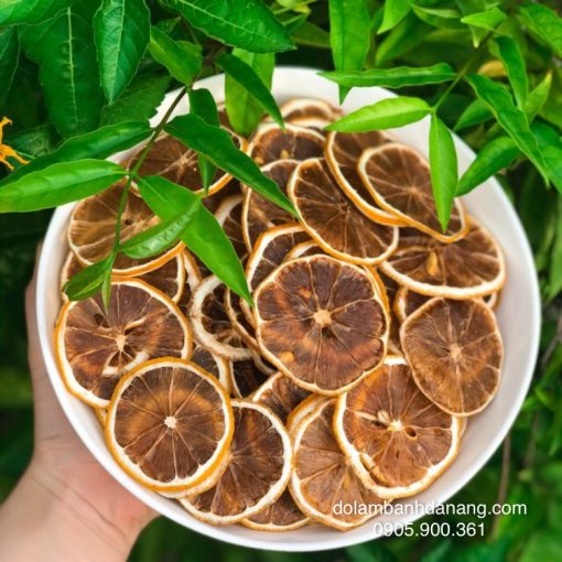 Chanh sấy lát NL-9549-1G