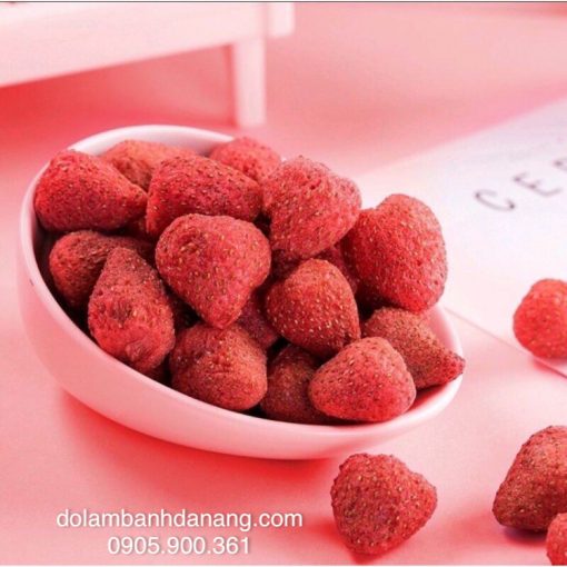 Dâu sấy giòn 100gr NL-9576-100GR