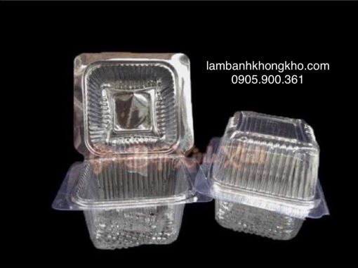 Hộp nhựa vuông H17 (10cm) - 100 cái BOX-2394-3273-100C