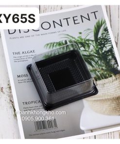 Hộp vuông đế đen xy65S (50 cái) BOX-9451-50C