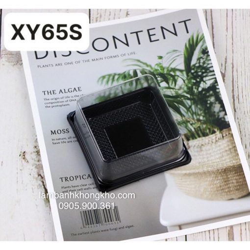 Hộp vuông đế đen xy65S (50 cái) BOX-9451-50C