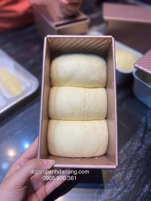 Khuôn sandwich chống dính UniBaker